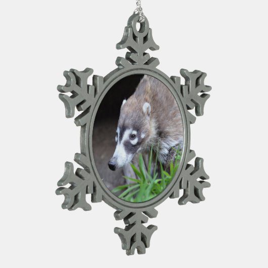 Prowling Coati Tin Sneeuwvlok Ornament (Links)