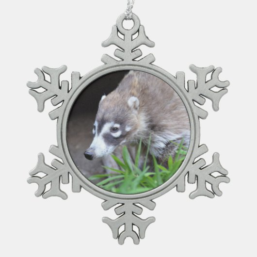 Prowling Coati Tin Sneeuwvlok Ornament (Voorkant)