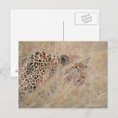 Prowling Leopard Hiding in grasland Briefkaart (Voorkant / Achterkant)