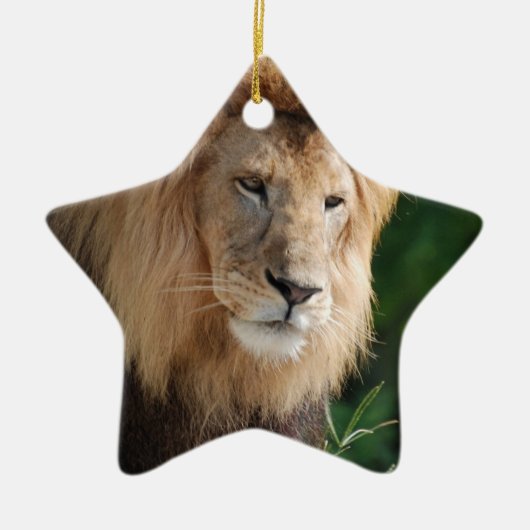 Prowling Lion Keramisch Ornament (Voorkant)