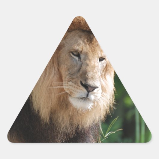 Prowling Lion Sticker (Voorkant)