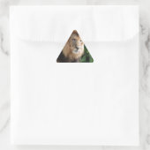 Prowling Lion Sticker (Tas)