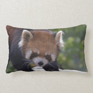 Prowling Red Panda Kussen
