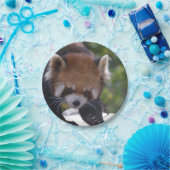 Prowling Red Panda Papieren Bordje (Feest)