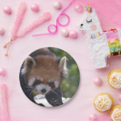 Prowling Red Panda Papieren Bordje (Feest)