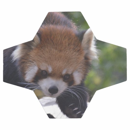 Prowling Red Panda Voetbal (Enkel)