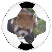 Prowling Red Panda Voetbal (Voorkant)