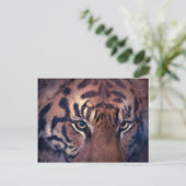 Prowling Tiger Briefkaart (Staand voorkant)