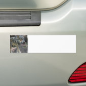 Prowling Wolf Bumperstickers (Op auto)