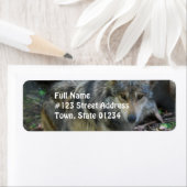Prowling Wolf Mailing Labels (Insitu)