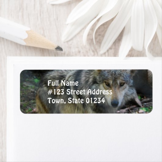 Prowling Wolf Mailing Labels (Insitu)