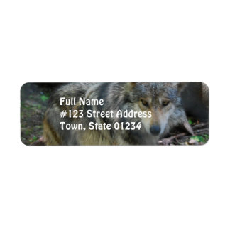 Prowling Wolf Mailing Labels