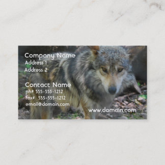 Prowling Wolf Visitekaartjes