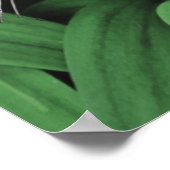 PROWLLING PANTHER POSTER (Hoek)