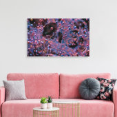 Proxima Canvas Afdruk (Insitu (Woonkamer))