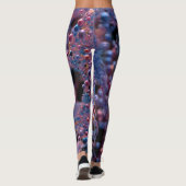 Proxima Leggings (Achterkant)