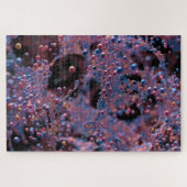 Proxima Legpuzzel (Horizontaal)