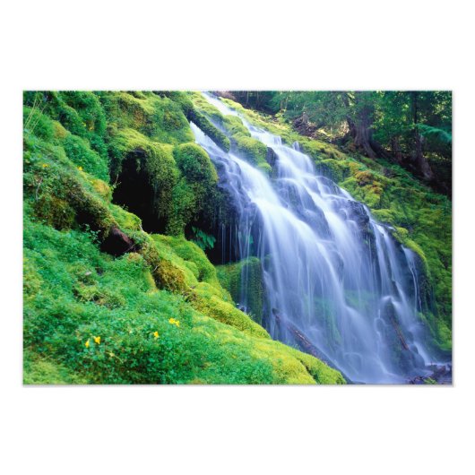 Proxy Falls in de centrale Oregon Cascades. Foto Afdruk (Voorkant)
