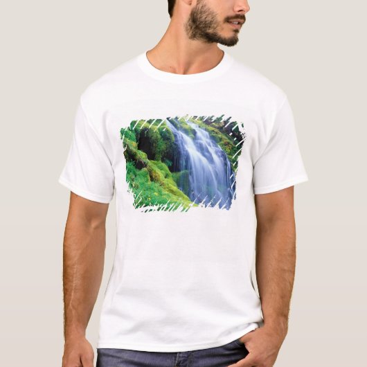 Proxy Falls in de centrale Oregon Cascades. T-shirt (Voorkant)