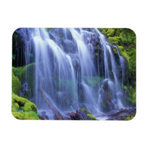 Proxy Falls in Oregons Centrale Cascade Bergen Magneet
