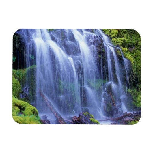 Proxy Falls in Oregons Centrale Cascade Bergen Magneet (Horizontaal)