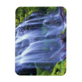 Proxy Falls in Oregons Centrale Cascade Bergen Magneet (Verticaal)