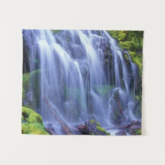 Proxy Falls in Oregons Centrale Cascade Bergen Wandkleed (Voorkant (horizontaal))