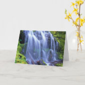 Proxy Falls in Oregons Centrale Cascadegebergte Kaart (Gele Bloem)