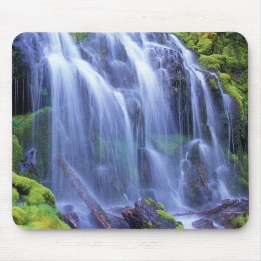 Proxy Falls in Oregons Centrale Cascadegebergte Muismat (Voorkant)