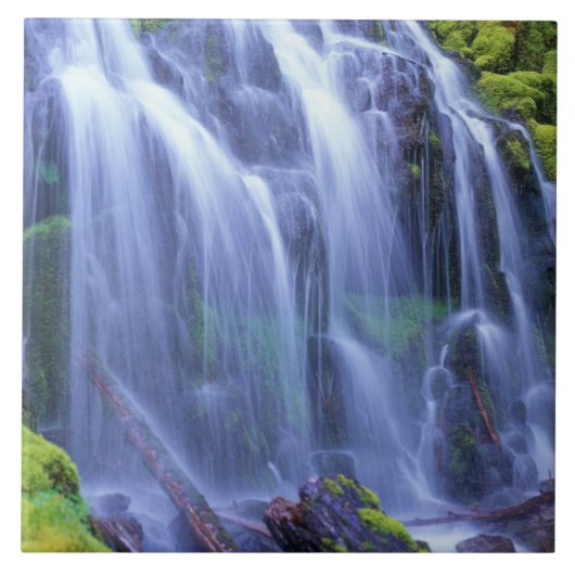 Proxy Falls in Oregons Centrale Cascadegebergte Tegeltje (Voorkant)