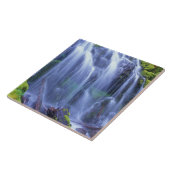 Proxy Falls in Oregons Centrale Cascadegebergte Tegeltje (Zijkant)