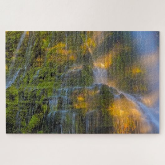 Proxy Falls Three Sisters Wilderness Oregon Legpuzzel (Horizontaal)