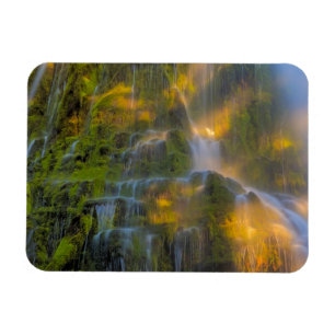 Proxy Falls Three Sisters Wilderness Oregon Magneet