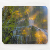 Proxy Falls Three Sisters Wilderness Oregon Muismat (Voorkant)
