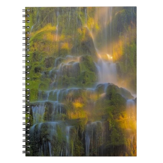 Proxy Falls Three Sisters Wilderness Oregon Notitieboek (Voorkant)