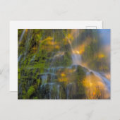 Proxy Herfsten Drie zussen Wilderness Oregon Briefkaart (Voorkant / Achterkant)