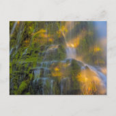 Proxy Herfsten Drie zussen Wilderness Oregon Briefkaart (Voorkant)