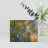 Proxy Herfsten Drie zussen Wilderness Oregon Briefkaart (Staand voorkant)