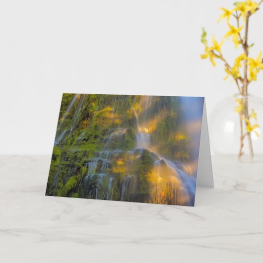 Proxy Herfsten Drie zussen Wilderness Oregon Kaart (Gele Bloem)