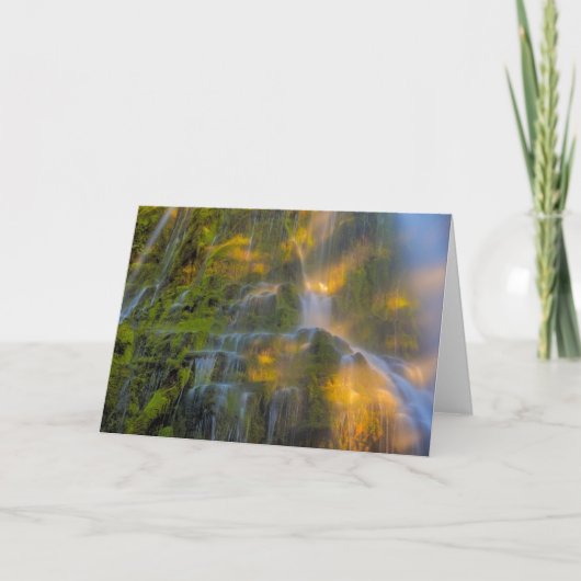 Proxy Herfsten Drie zussen Wilderness Oregon Kaart (Voorkant)