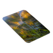 Proxy Herfsten Drie zussen Wilderness Oregon Magneet (Rechterzijde)