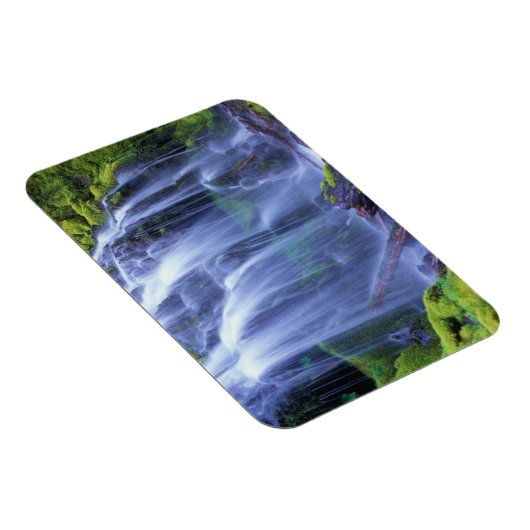 Proxy-Herfsten in de centrale Cascade-bergen van O Magneet (Rechterzijde)