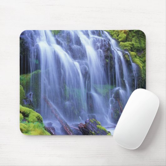 Proxy-Herfsten in de centrale Cascade-bergen van O Muismat (Met muis)