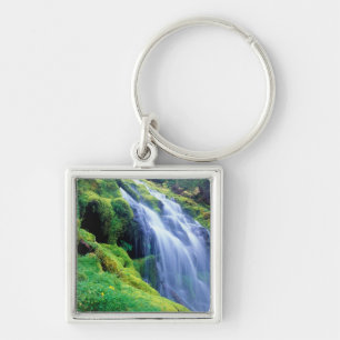 Proxy-Herfsten in de centrale oregon Cascades. Sleutelhanger