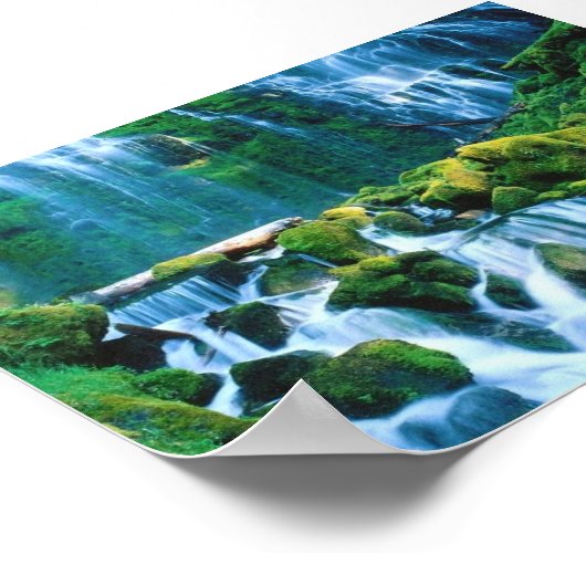 Proxy-Herfsten, Oregon Poster (Hoek)