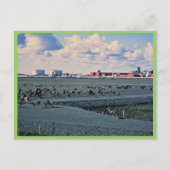 Prudhoe Bay, Alaska Briefkaart (Voorkant)