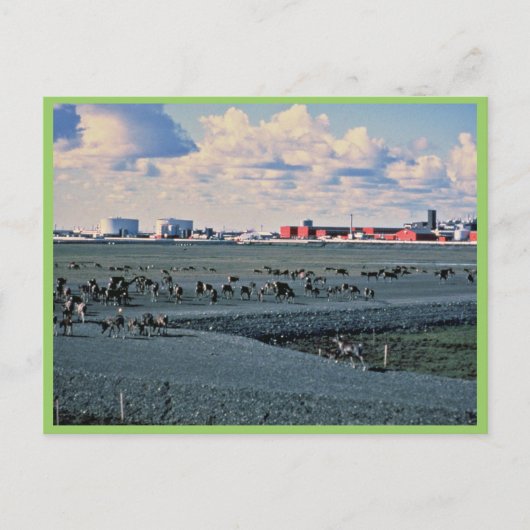 Prudhoe Bay, Alaska Briefkaart (Voorkant)