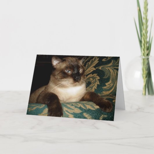 Pruilend Siamees Kat Notitiekaart (Voorkant)