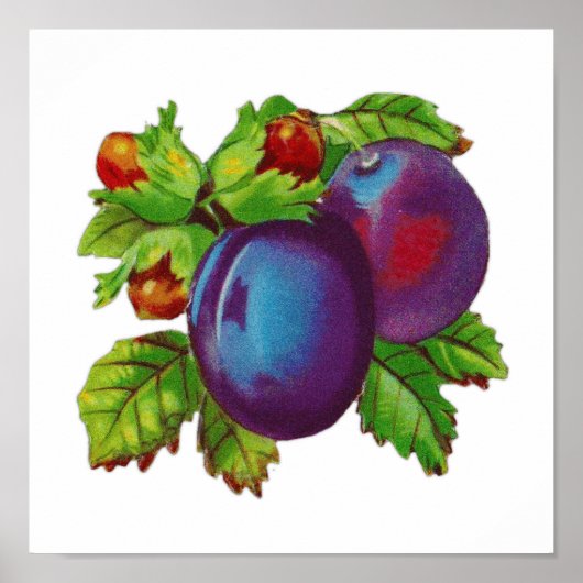  pruimelfruitontwerp uitstekend voor keuken poster (Voorkant)