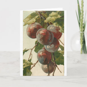  - Pruimen aan de boom, Kaart